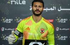 الشناوي 